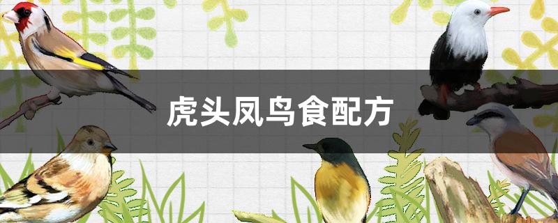 虎头凤鸟食配方 虎头凤鸟食配方